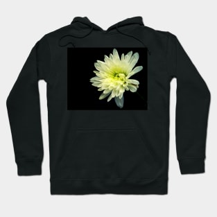 Daisy Hoodie